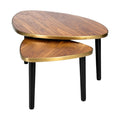 **Moderne Houten Salontafels met Gouden Rand – Set van 2**